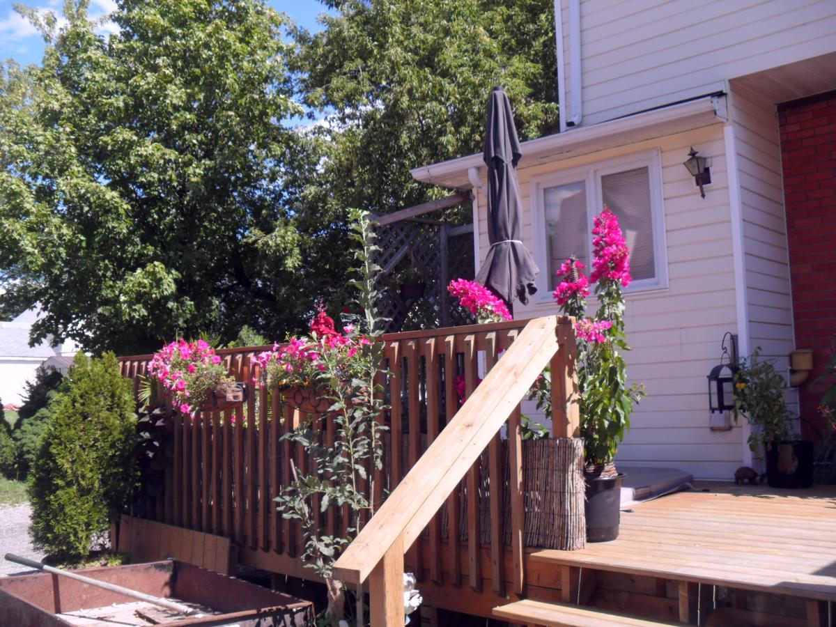 Homestead House B&B Hamilton Exterior photo